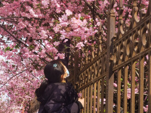 普普通通我的图