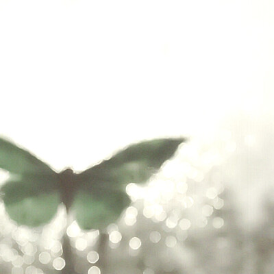 #梦里花_Flower in dream権威