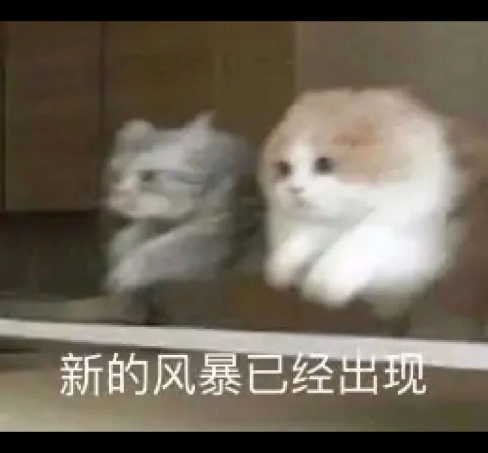 可爱表情 - 高清图片，堆糖，美图壁纸兴趣社区