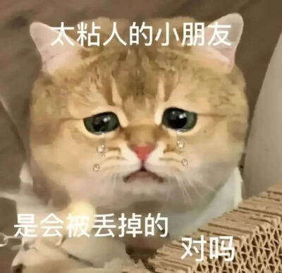 可爱表情