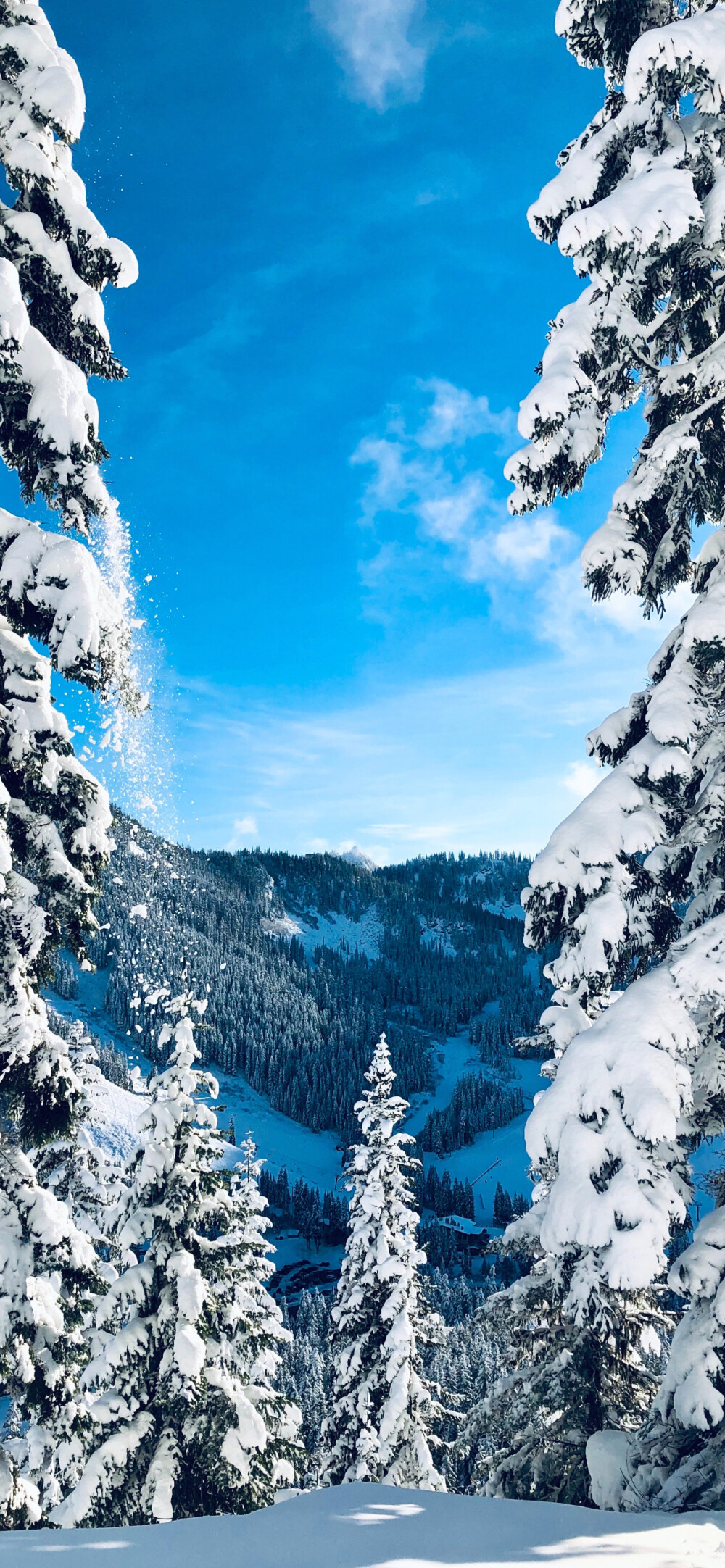 漂亮的雪景