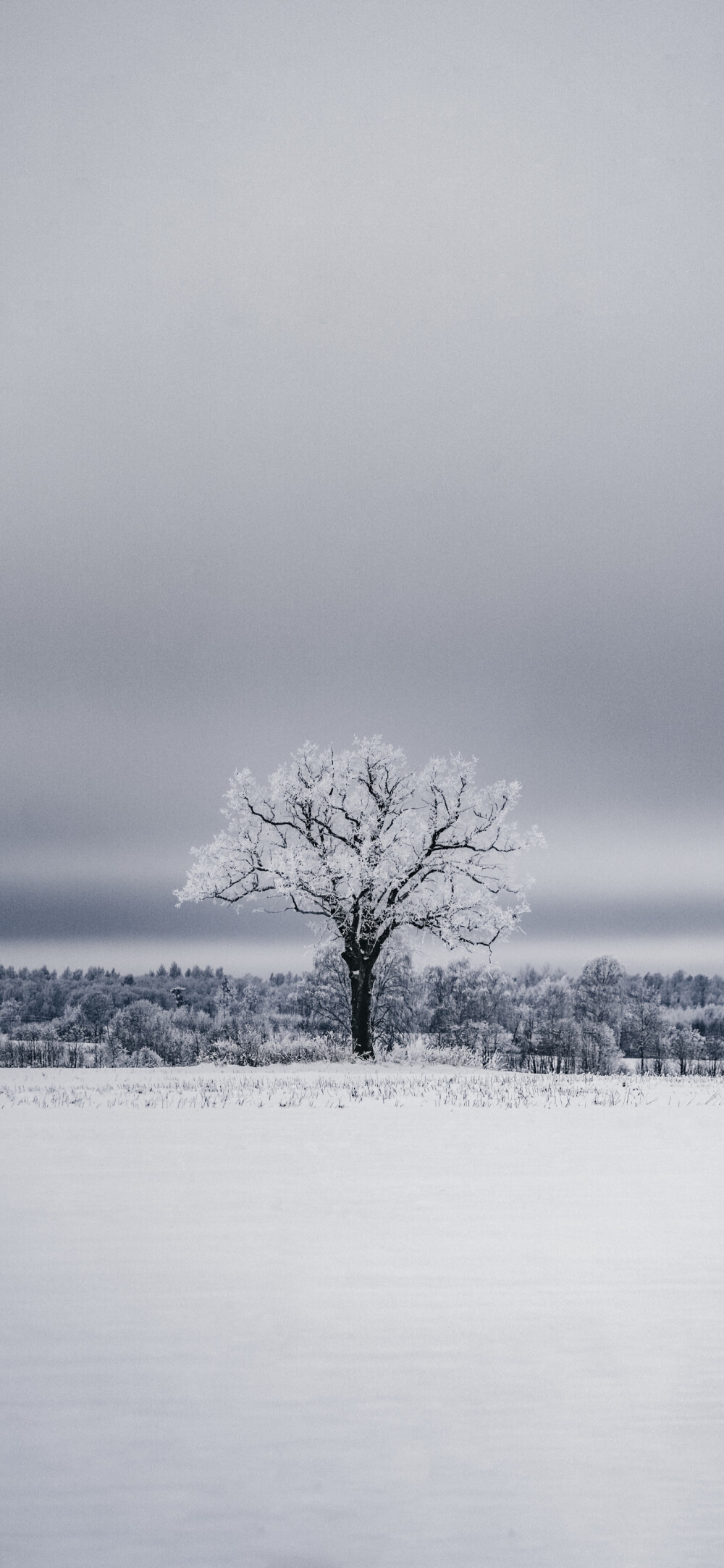 雪景美不美