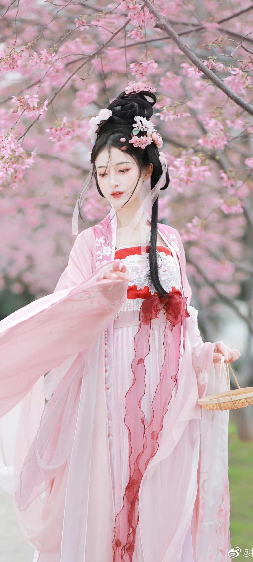 汉服
摄影:@樱桃是猫