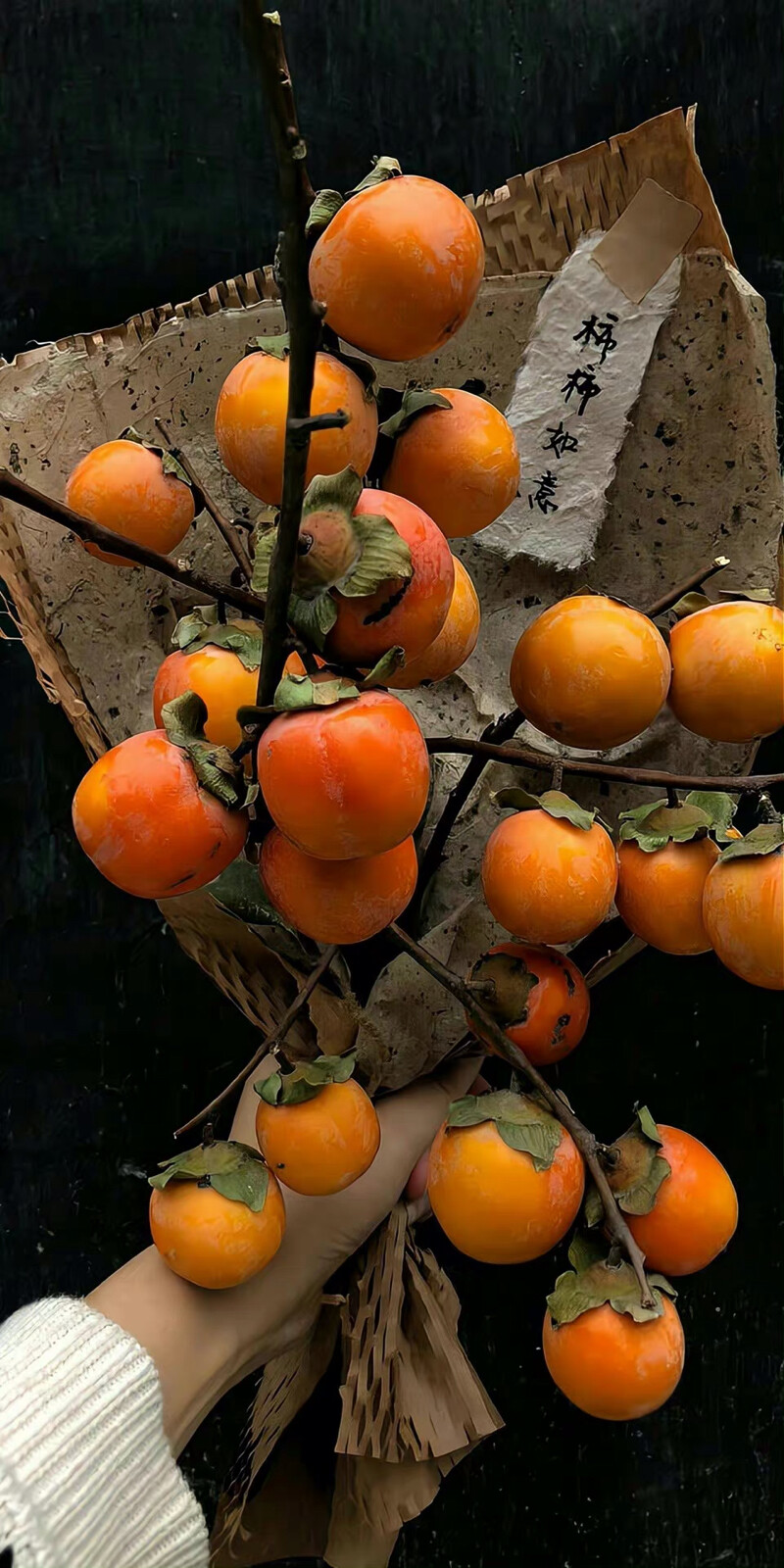 Cherry自留