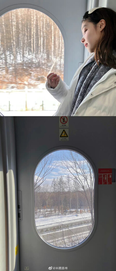 半藏森林