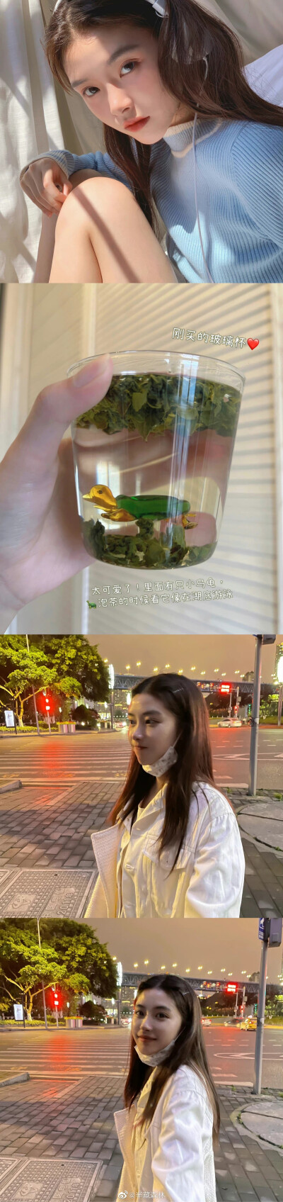 半藏森林