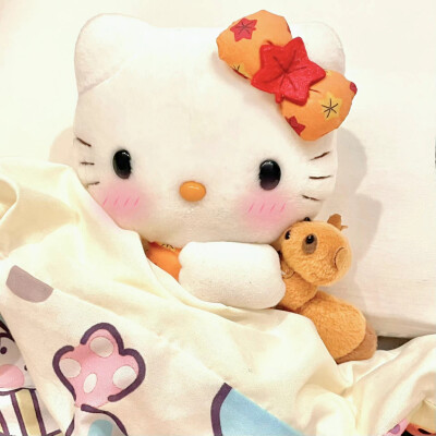 HelloKitty=･ ֊ ･= ​​​
#玩偶头像#