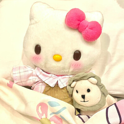 HelloKitty=･ ֊ ･= ​​​
#玩偶头像#