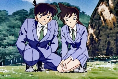 《新兰系列》48
侵权删