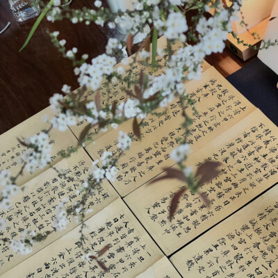 二十世纪回忆录