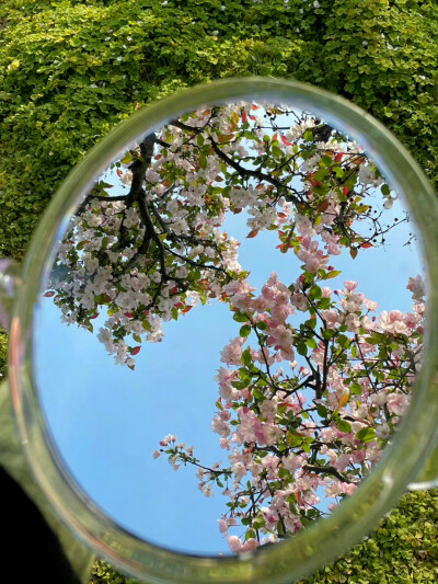 花开时节动京城