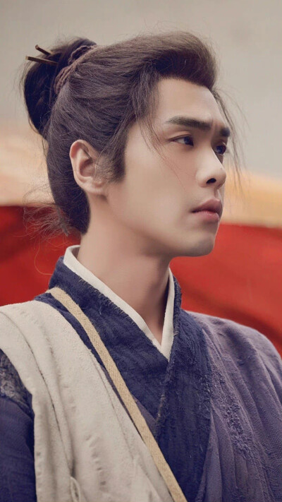 张若昀《显微镜下的大明》