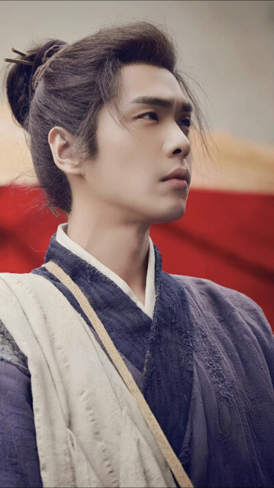 张若昀《显微镜下的大明》