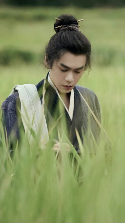 张若昀《显微镜下的大明》