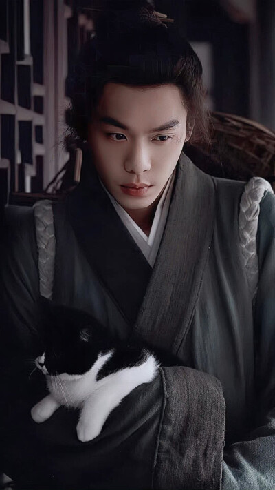 张若昀《显微镜下的大明》