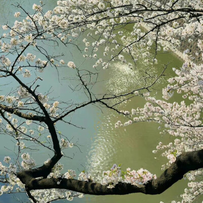 背景