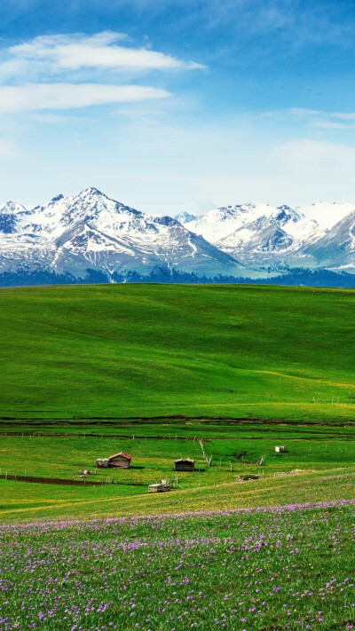 杂志背景