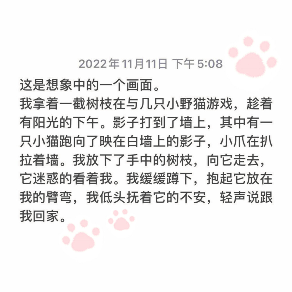 这是想象中的一个画面
我拿着一截树枝在与几只小猫游戏，趁着有阳光的下午。影子打到了墙上，其中有一只小猫跑向了映在白墙上的影子，小爪在扒拉着墙。我放下了手中的树枝，向它走去，它迷惑的看着我。我缓缓蹲下，抱起它放在我的臂弯，我低头抚着它的不安，轻声说跟我回家。
