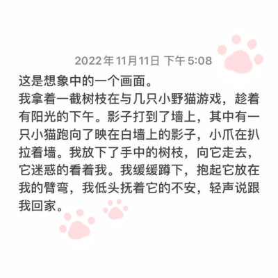 这是想象中的一个画面
我拿着一截树枝在与几只小猫游戏，趁着有阳光的下午。影子打到了墙上，其中有一只小猫跑向了映在白墙上的影子，小爪在扒拉着墙。我放下了手中的树枝，向它走去，它迷惑的看着我。我缓缓蹲下，…