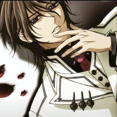 Vampire Knight