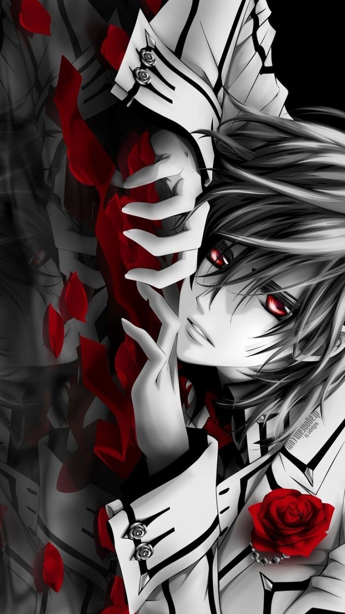 Vampire Knight