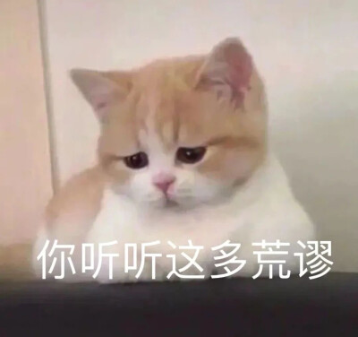 猫咪 表情包