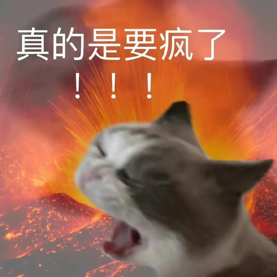 猫咪 表情包