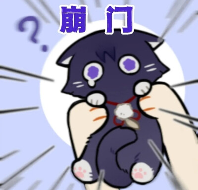 散猫猫