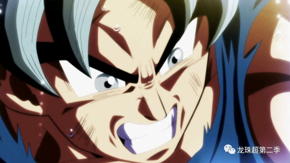 七龙珠壁纸-自在极意功