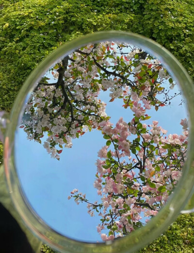 •春日套图分享 头像+背景图