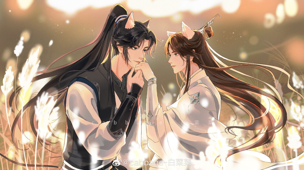 二哈和他的白猫师尊