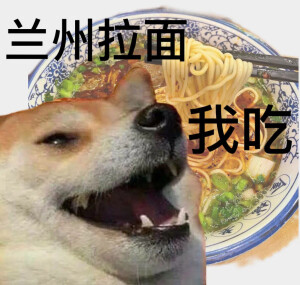 表情包