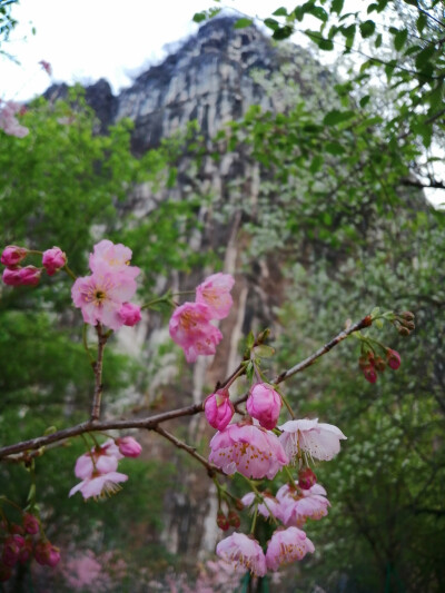 山间姝丽