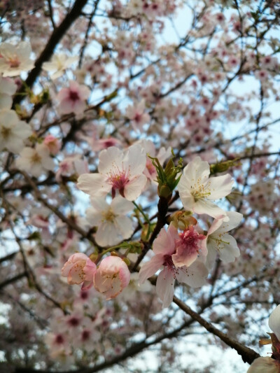 那一场风花雪月