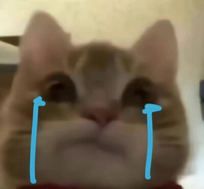 歪嘴小猫表情包 ​​​