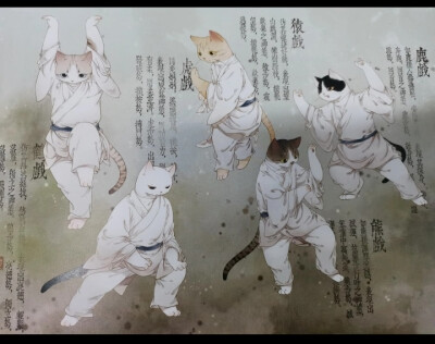 画猫 归汉