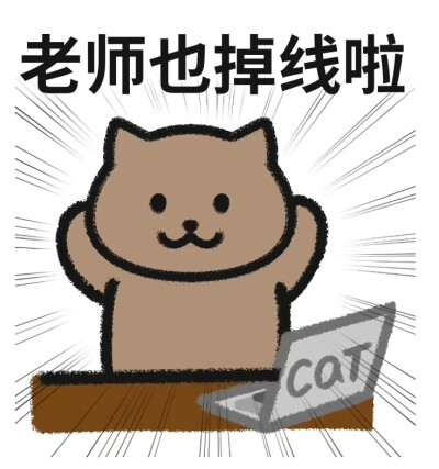 大熊猫本猫