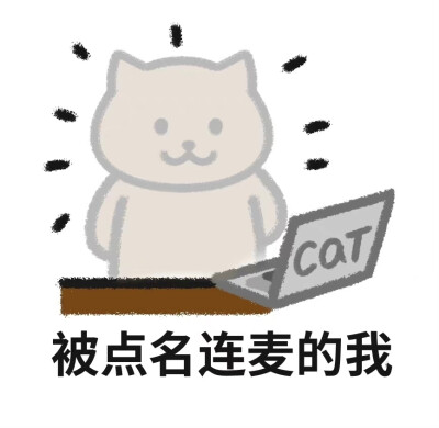 大熊猫本猫