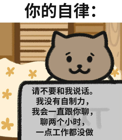 大熊猫本猫