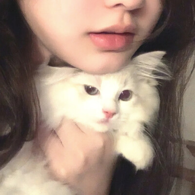 动物情头