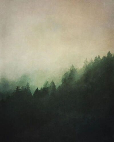 不同于是枝裕和的平淡温馨，hozzography的作品是幽深、潮湿、梦幻、迷离的氛围