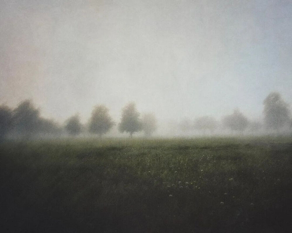 不同于是枝裕和的平淡温馨，hozzography的作品是幽深、潮湿、梦幻、迷离的氛围