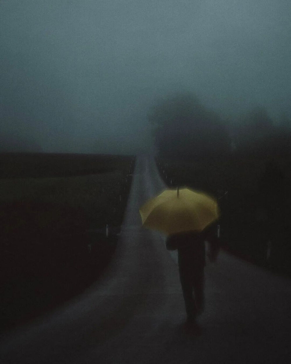 不同于是枝裕和的平淡温馨，hozzography的作品是幽深、潮湿、梦幻、迷离的氛围