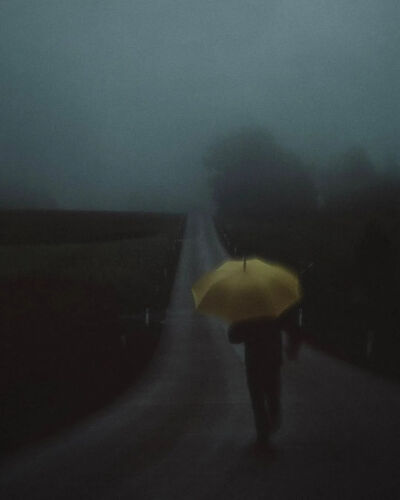 不同于是枝裕和的平淡温馨，hozzography的作品是幽深、潮湿、梦幻、迷离的氛围