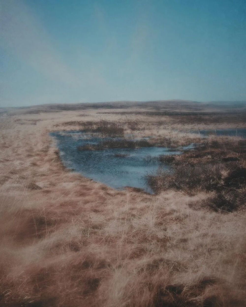 不同于是枝裕和的平淡温馨，hozzography的作品是幽深、潮湿、梦幻、迷离的氛围