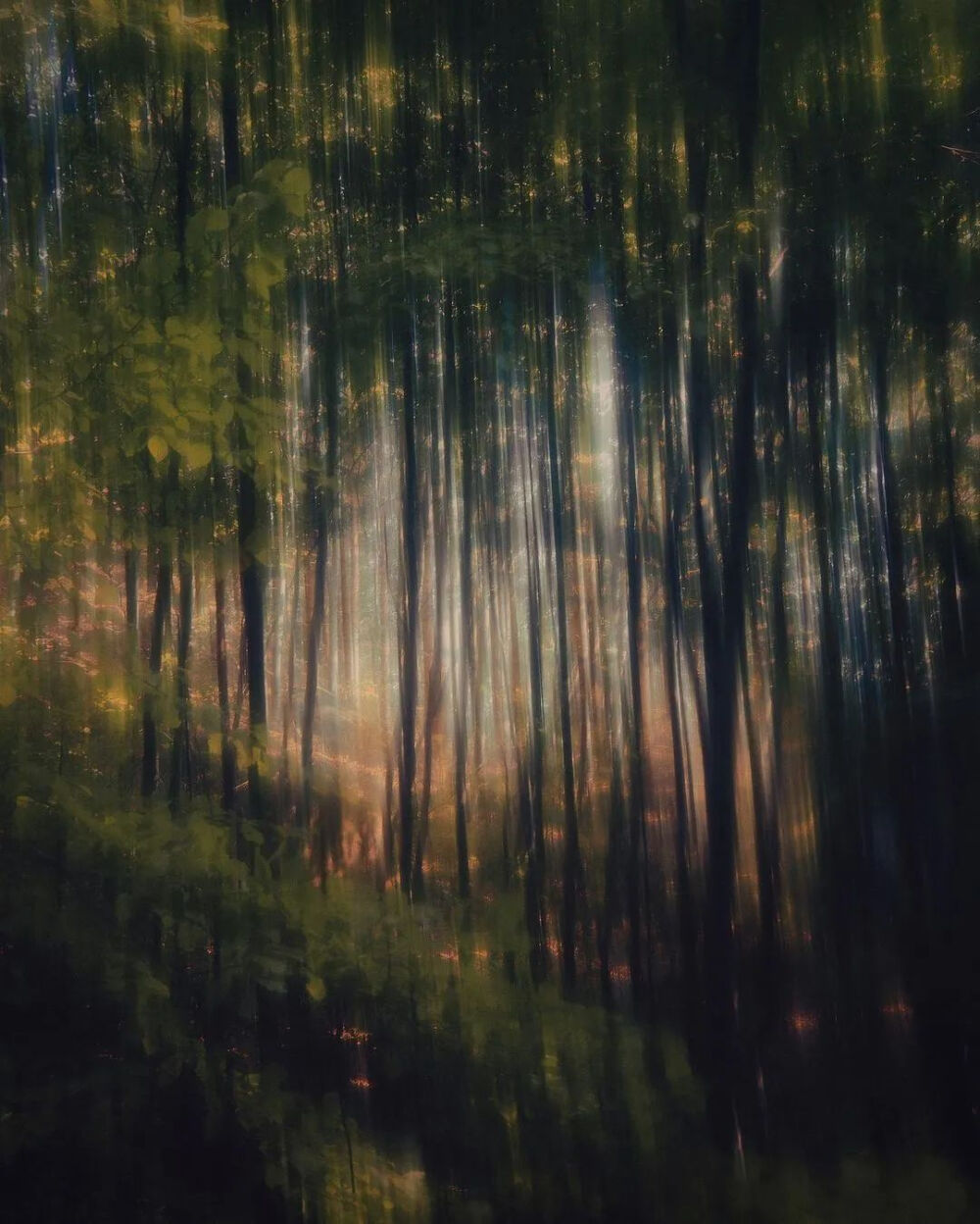 不同于是枝裕和的平淡温馨，hozzography的作品是幽深、潮湿、梦幻、迷离的氛围