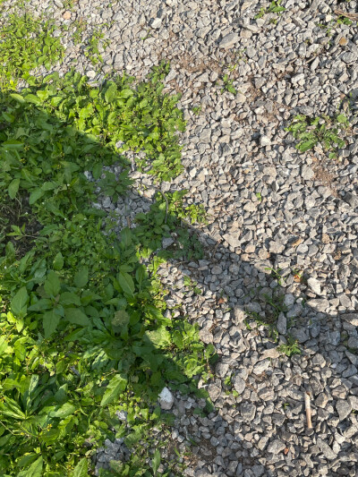 【高质量精美】壁纸