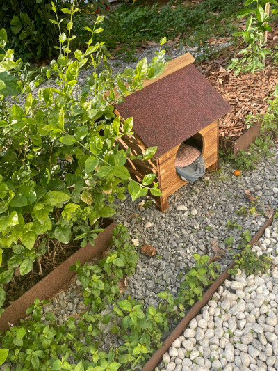 【高质量精美】壁纸