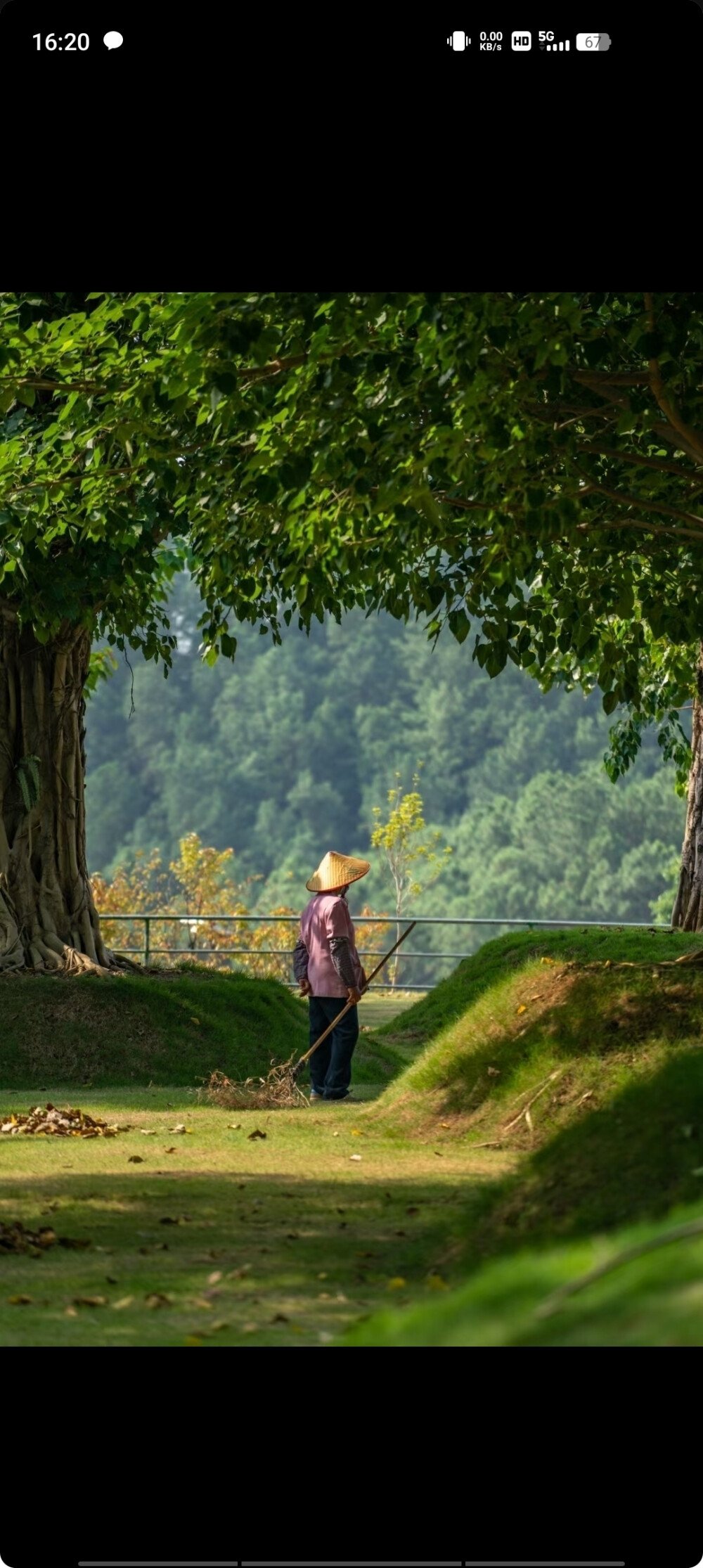 绿色背景