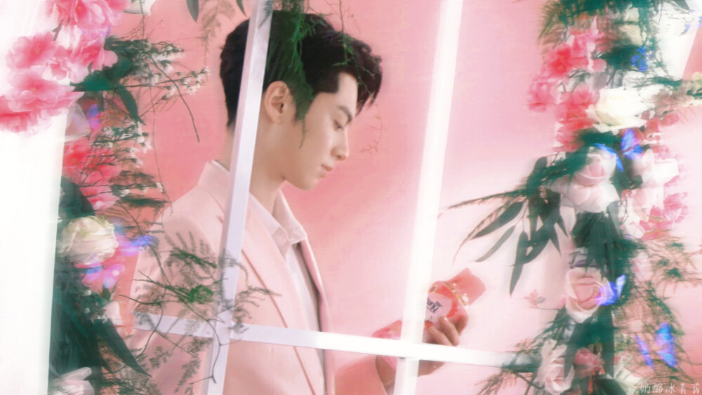 王鹤棣 粉色 背景图